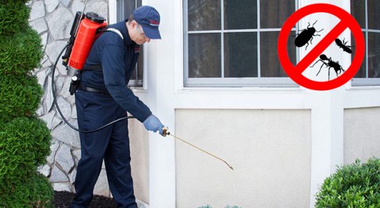 Bolvadin Böcek ve Haşere İlaçlama böcek ilaçlama ve haşere kontrolü — ilaclama-tr.com